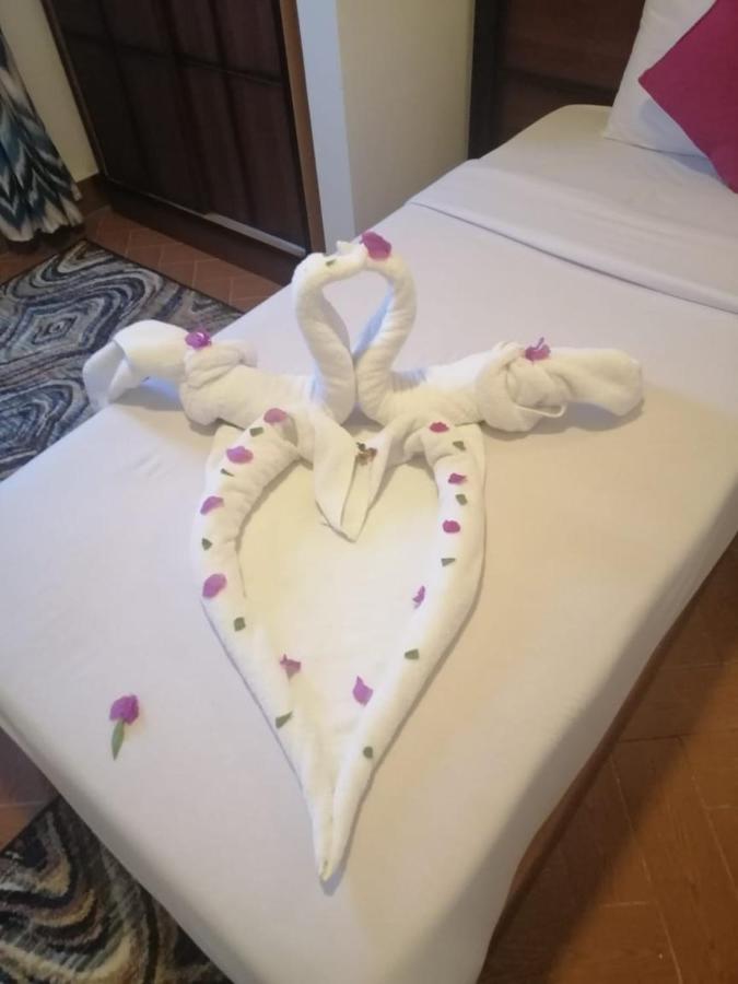 Dolphin Hotel El Qoseir Екстериор снимка